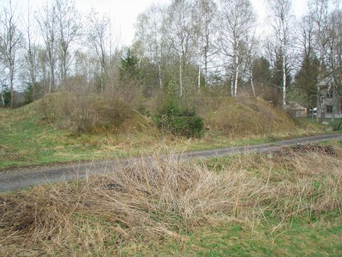 Foto 50